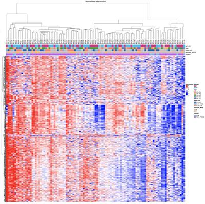 MicroRNA profiling in aplastic anemia reveals similarities between secondary myelodysplastic syndromes arising from clonal progression and de novo MDS